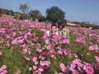  สวนดอกไม้กลางหุบเขา ในถิ่นอีสาน