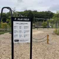 F⭐︎play field