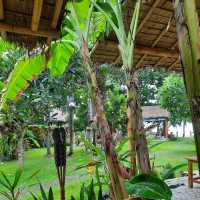 Margarita Beach ที่พักติดชายหาด อ.ขนอม จ.นครศรีธรรมราช