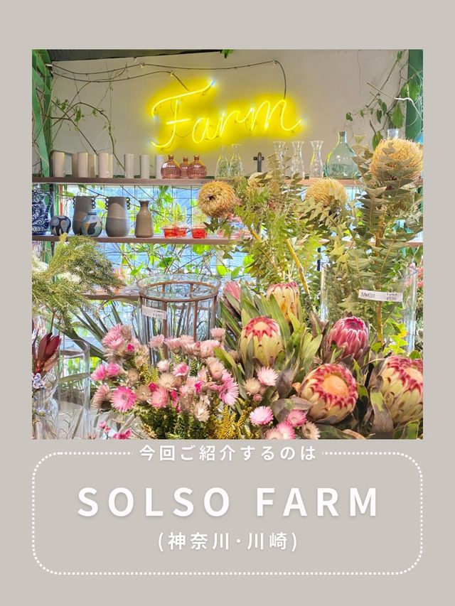 【川崎】インスタ映え抜群なお花屋さん🌼