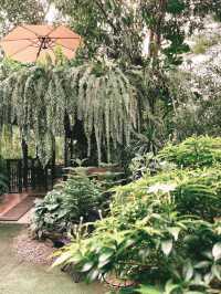 🌳สวนล้านใบ