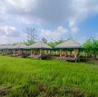 ธารา ชลพฤกษ์ ฟาร์มสุข