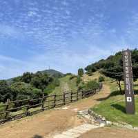 桂陽山城博物館🚶‍♀️桂陽山城🚶‍♀️散策