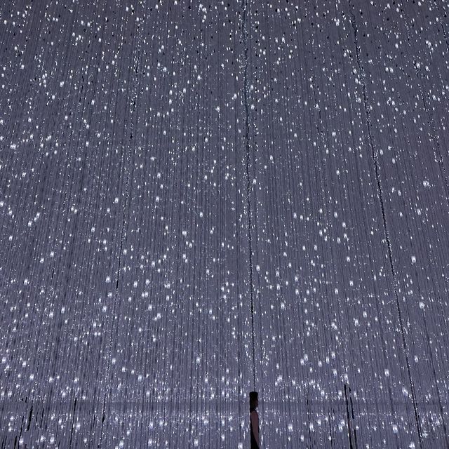 Teamlab Planets Tokyo 視覺藝術很受