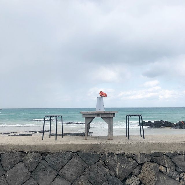흐려도 좋아🐰 제주 세화해변🐚🏖️