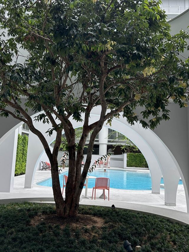 โรงแรมเปิดใหม่พัทยา สุดมินิมอล และ pet friendly 🐶