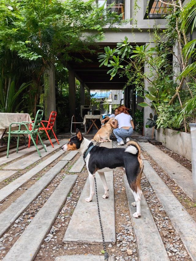 The Most Beautiful Hostel in Bangkok