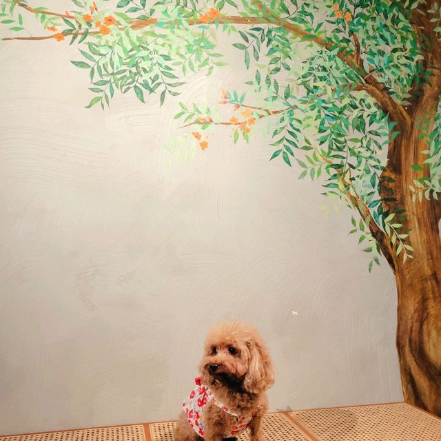 木系溫馨pet friendly餐廳必食香噴噴手搖海鮮拼盤