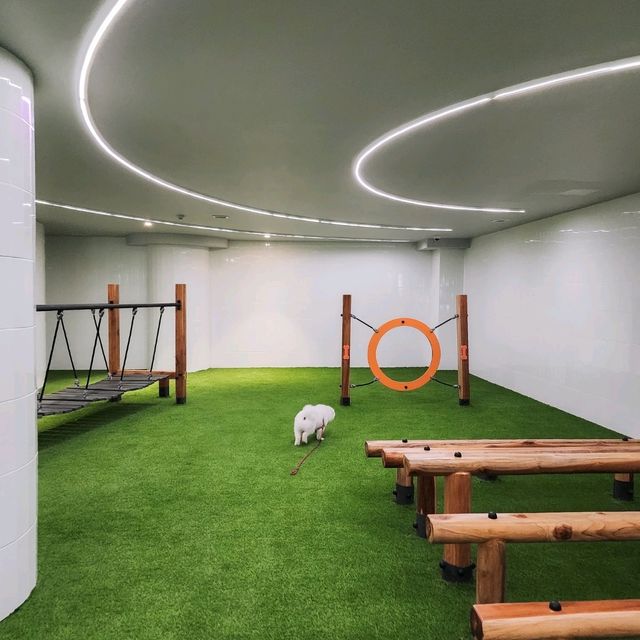 โรงแรม Pet Friendly สไตล์มินิมอล มู้ดดีเต็มสิบ!