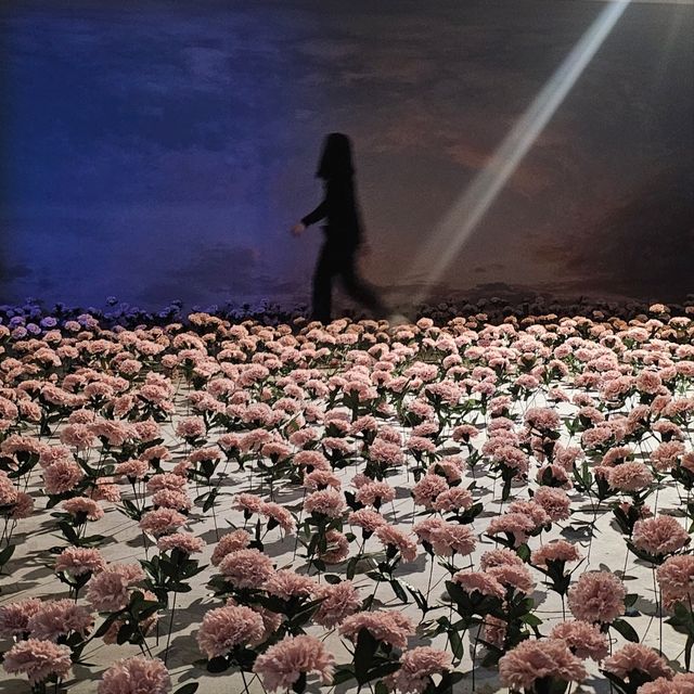 서울이면 여긴 가봐야지 (어반플랜트, 고양이 소품샵, 고미푸딩, 소품샵, 에그타르트, 뀌노이)