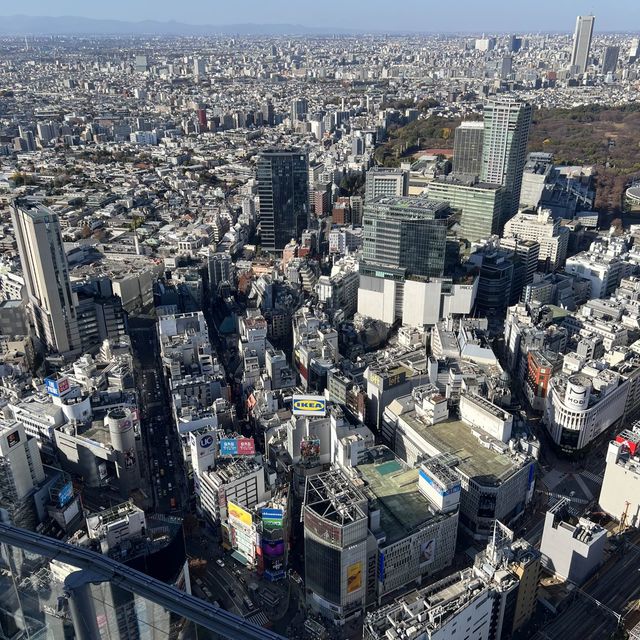 東京新舊地標🇯🇵