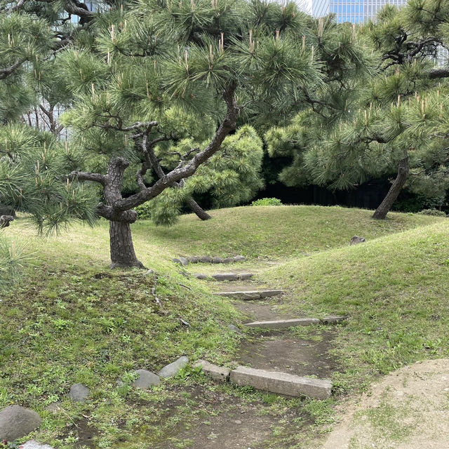 都会のオアシス！旧芝離宮恩賜庭園