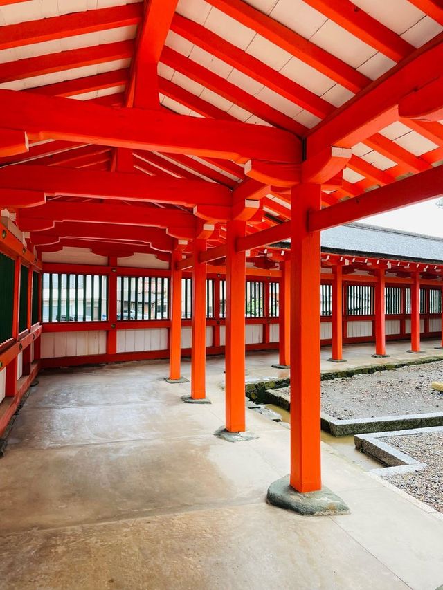 【島根県/日御碕神社】2023年行ってよかった！島根県の神社12