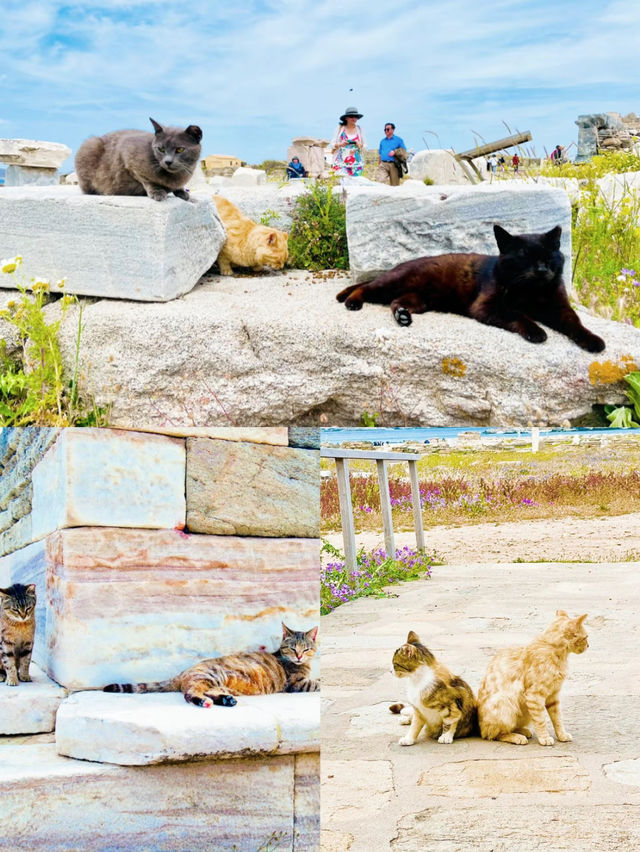 【世界遺産】一生に一度は訪れたい！島全体が世界遺産のデロス島🏛️🇬🇷