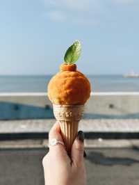 🇰🇷來濟州就一定要去的雪糕店🍊 一定要點橘子雪糕