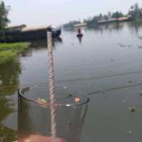 kerala .alappy house boat.