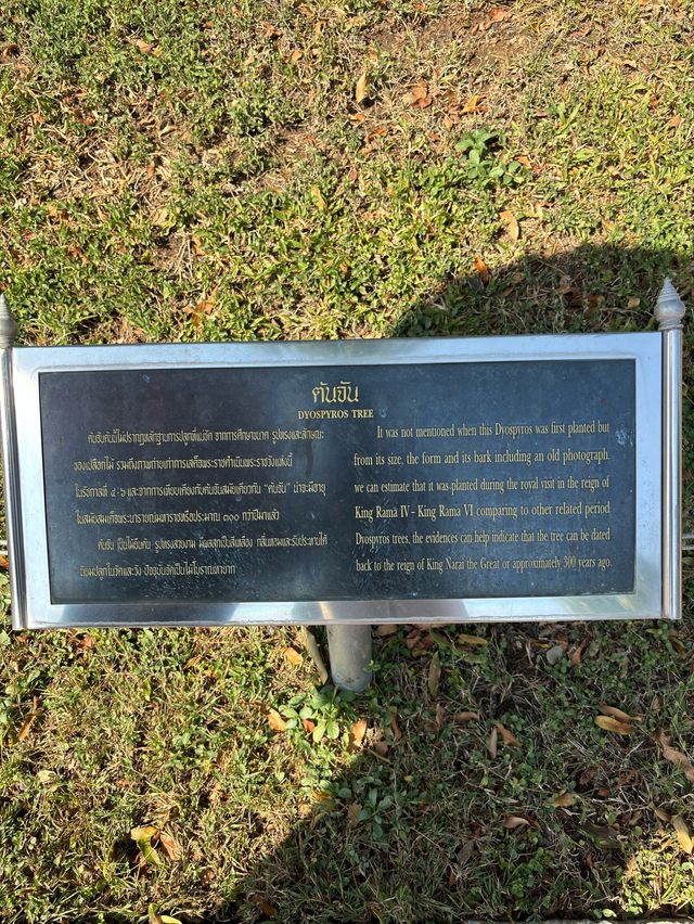 พระนารายณ์ราชนิเวศน์