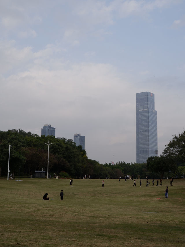 福田蓮花山公園，落羽松打卡景點