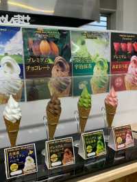 เล่นกระดานหิมะครั้งแรก ที่ Gozaisho