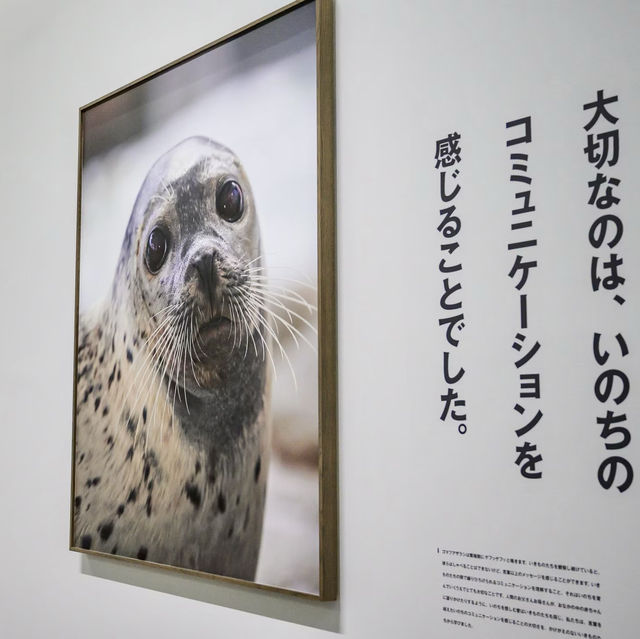 Kinosaki Marine World