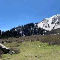 Gulmarg Wildlife Sanctuary