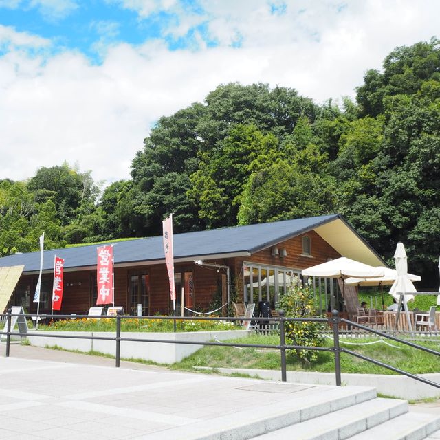 【大阪・道の駅ランチ】バイキングでお腹いっぱい食べられる場所😋