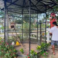 ป่าชายเลนกลางเมืองจันทบุรี ที่เรือนจันท์แลนด์