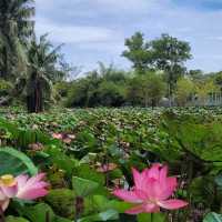 Miri Crocodile Farm Wildlife Mini Zoo 