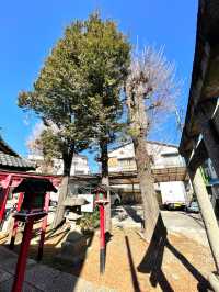 【田中稲荷神社/東京都】尻尾の太く可愛いらしい狐像がお出迎え