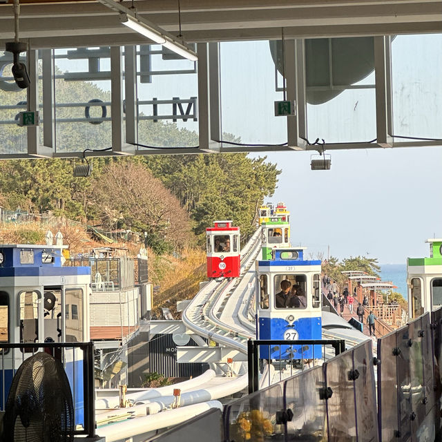 One day trip ‘Sky capsule’ @Busan