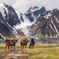 Mongolia Altai Tavan Bogd Mountain NP