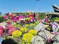 Dubai Miracle Garden 