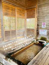 【栃木 那須塩原】温泉好きにおすすめ！御朱印と無料の足湯に入れる⛩️温泉神社