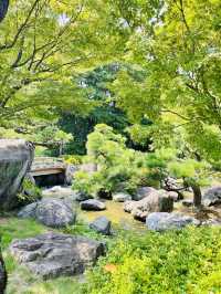 Ohori Park Japanese Garden 