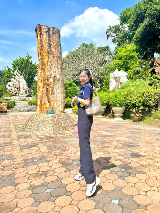 ขี่งวงช้าง ถ่ายรูปกับเสือ ชมโชว์จระเข้ที่พัทยา🐊