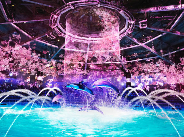 東京品川水族館櫻花主題活動