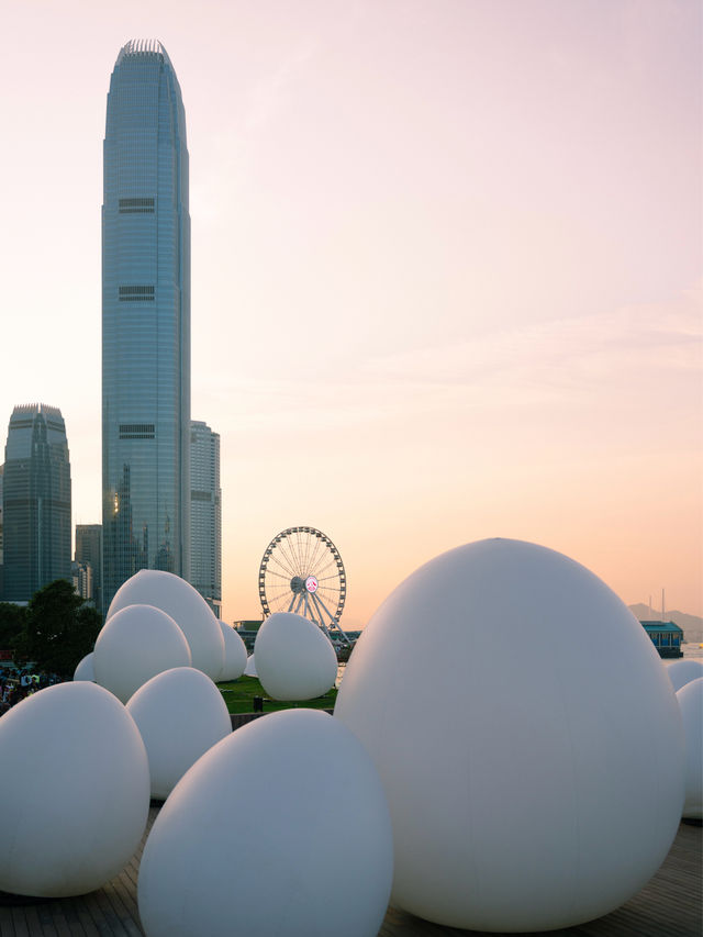 香港teamLab：光漣｜藝術@維港2024期間限定