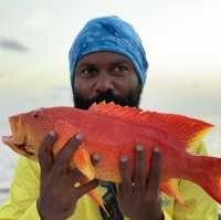 Best Sport fishing adventures in Maldives 