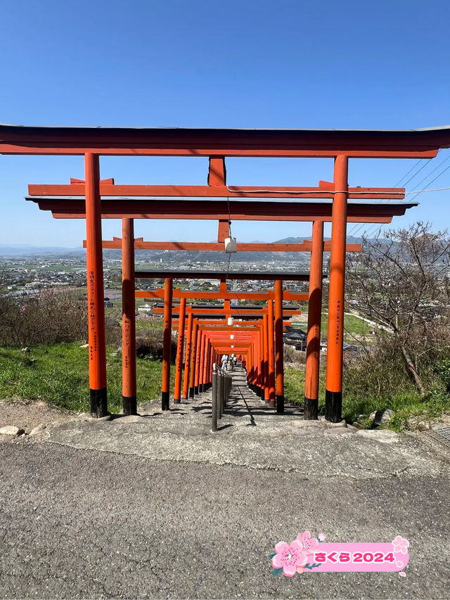 【うきは観光】桜の季節がオススメな山の上の絶景スポット