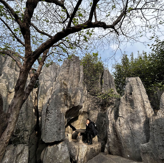 Kunming-Stone forest 