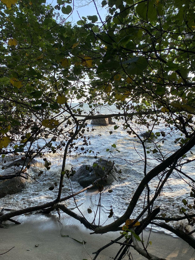 Hidden Beach in Penang Island 🇲🇾