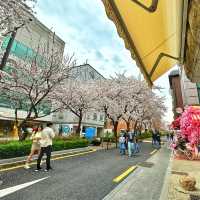 延南洞弘大賞櫻 咖啡店hopping 🌸