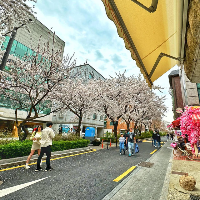 延南洞弘大賞櫻 咖啡店hopping 🌸