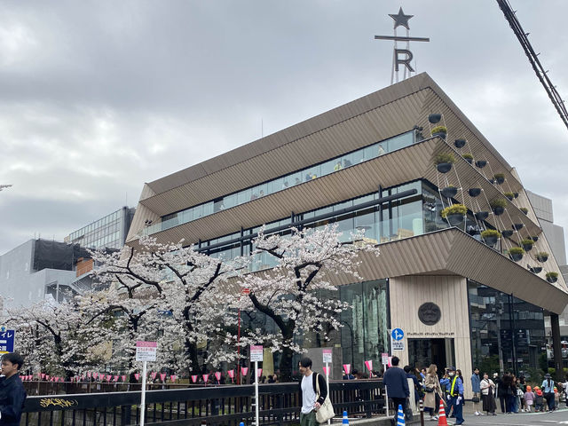 【日本🇯🇵 桜スポット🌸目黒川】