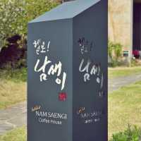 ☕️ 헬로남생이카페, 제주의 자연과 건축미가 만나는 곳