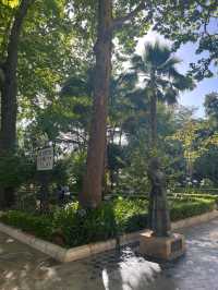 고지대에서 느끼는 봄🌲🌳🌷🌺 다양한 나무와 꽃들의 향연