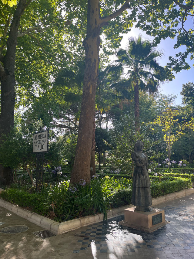 고지대에서 느끼는 봄🌲🌳🌷🌺 다양한 나무와 꽃들의 향연