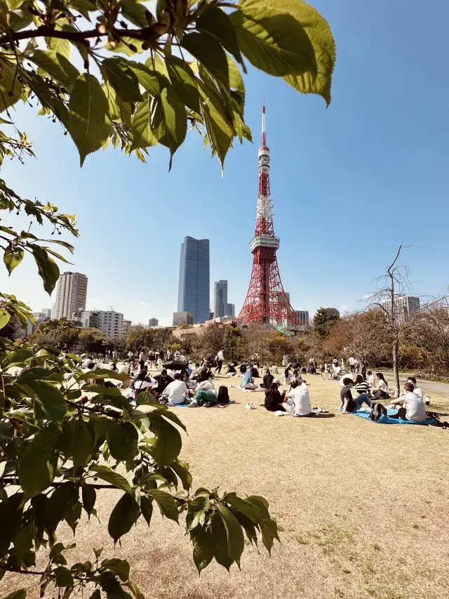 🇯🇵東京鐵塔打卡位❷ 超大片草地野餐一流！芝公園🗼