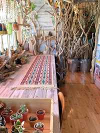 【福岡カフェ】多肉植物いっぱいの個性的な店内が可愛すぎる🌵