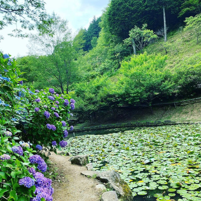 みのかも健康の森
